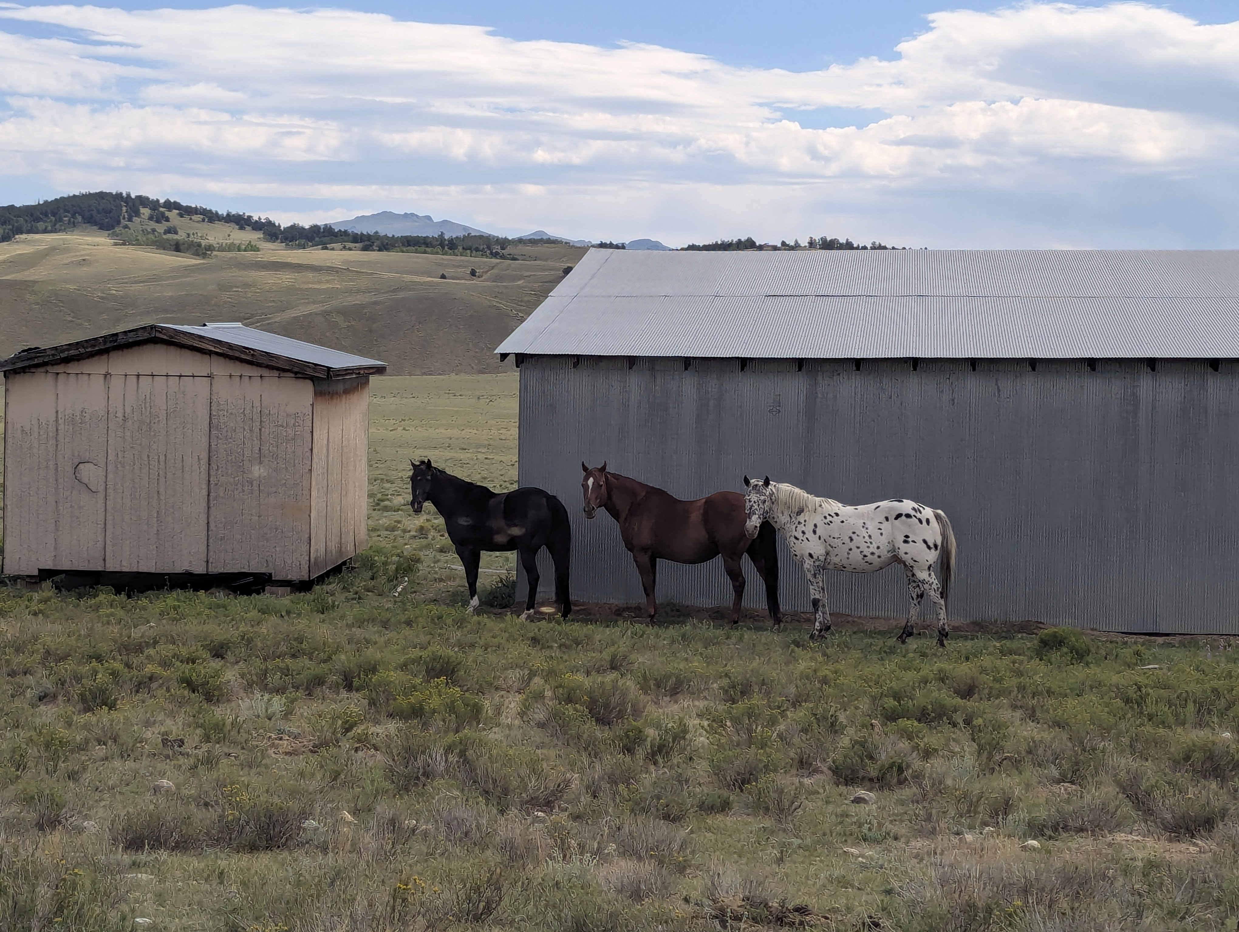 SouthPark, Park County, Jefferson, Colorado